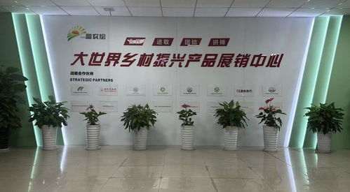 面对面问需于企 心贴心排忧解难 技术咨询为企业发展注入新动力